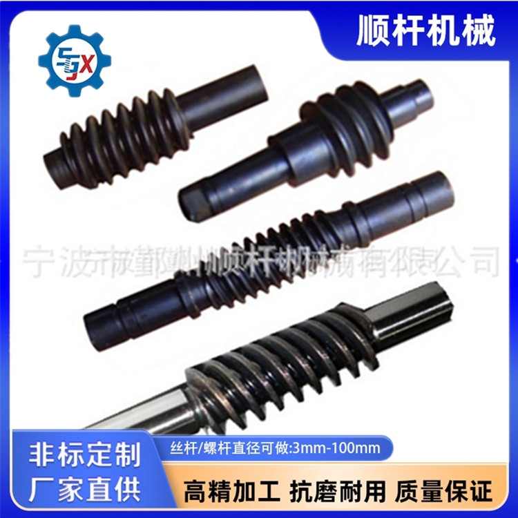 大型冷軋非標多頭小模數蝸杆